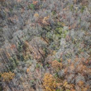 Photo #16 of PORTERS RD, ESMONT, VA 5.6 acres