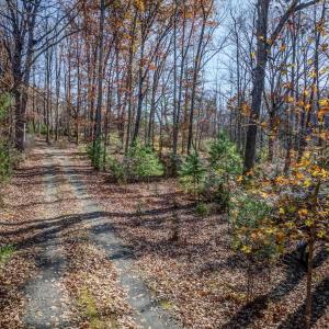 Photo #26 of PORTERS RD, ESMONT, VA 5.6 acres