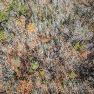 Photo #14 of PORTERS RD, ESMONT, VA 5.6 acres