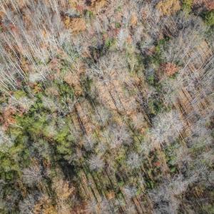 Photo #15 of PORTERS RD, ESMONT, VA 5.6 acres