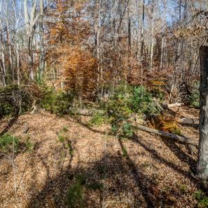 Photo #9 of PORTERS RD, ESMONT, VA 5.6 acres