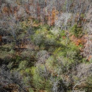 Photo #19 of PORTERS RD, ESMONT, VA 5.6 acres