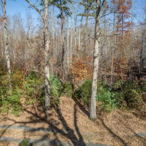 Photo #27 of PORTERS RD, ESMONT, VA 5.6 acres
