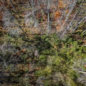 Photo #20 of PORTERS RD, ESMONT, VA 5.6 acres