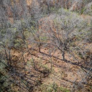 Photo #1 of PORTERS RD, ESMONT, VA 5.6 acres