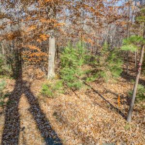 Photo #5 of PORTERS RD, ESMONT, VA 5.6 acres