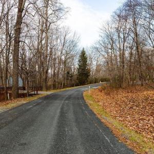 Photo #2 of 105 DEN TREE LN, WINTERGREEN RESORT, VA 0.4 acres