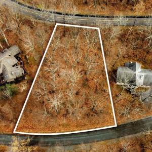 Photo #1 of 105 DEN TREE LN, WINTERGREEN RESORT, VA 0.4 acres