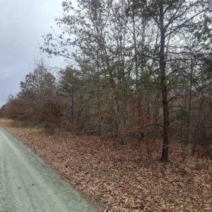 Photo #5 of INDIAN PIPE RUN, PALMYRA, VA 21.1 acres