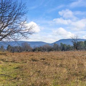 Photo #2 of BIBB FARM LN, WAYNESBORO, VA 12.7 acres