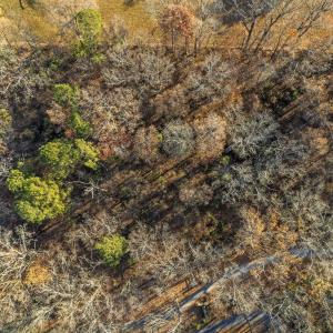 Photo #7 of BIBB FARM LN, WAYNESBORO, VA 12.7 acres