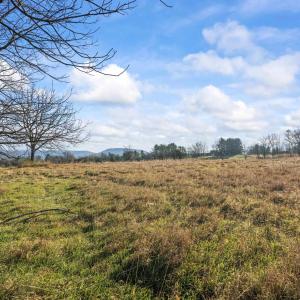 Photo #3 of BIBB FARM LN, WAYNESBORO, VA 12.7 acres