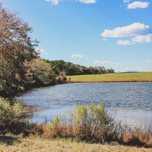 Photo #21 of Lot 17 ROLLING RD S, SCOTTSVILLE, VA 17.4 acres