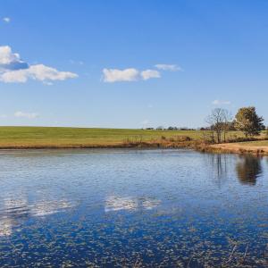 Photo #20 of Lot 17 ROLLING RD S, SCOTTSVILLE, VA 17.4 acres