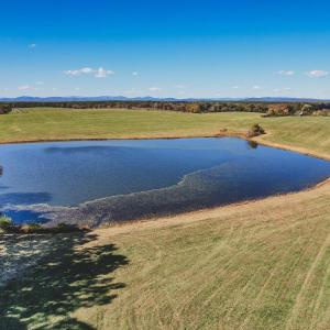 Photo #10 of Lot 17 ROLLING RD S, SCOTTSVILLE, VA 17.4 acres