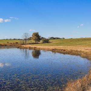 Photo #18 of Lot 17 ROLLING RD S, SCOTTSVILLE, VA 17.4 acres