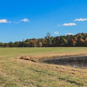 Photo #15 of Lot 17 ROLLING RD S, SCOTTSVILLE, VA 17.4 acres