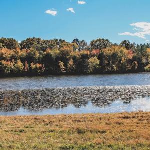 Photo #14 of Lot 17 ROLLING RD S, SCOTTSVILLE, VA 17.4 acres