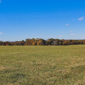 Photo #18 of Lot 16 BRIERY CREEK RD, SCOTTSVILLE, VA 20.1 acres