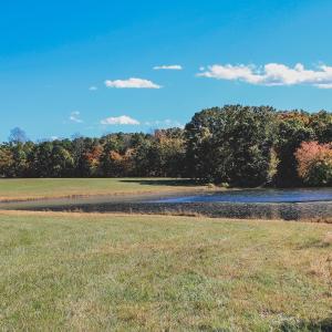 Photo #22 of Lot 16 BRIERY CREEK RD, SCOTTSVILLE, VA 20.1 acres