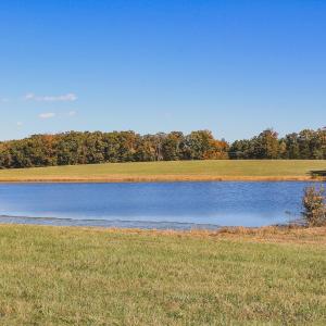 Photo #6 of Lot 16 BRIERY CREEK RD, SCOTTSVILLE, VA 20.1 acres