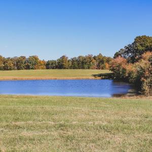 Photo #7 of Lot 16 BRIERY CREEK RD, SCOTTSVILLE, VA 20.1 acres