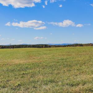 Photo #10 of Lot 16 BRIERY CREEK RD, SCOTTSVILLE, VA 20.1 acres