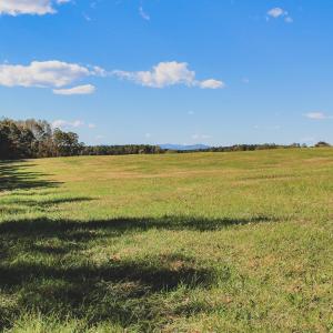 Photo #17 of Lot 16 BRIERY CREEK RD, SCOTTSVILLE, VA 20.1 acres