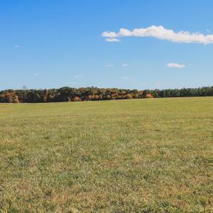 Photo #16 of Lot 16 BRIERY CREEK RD, SCOTTSVILLE, VA 20.1 acres