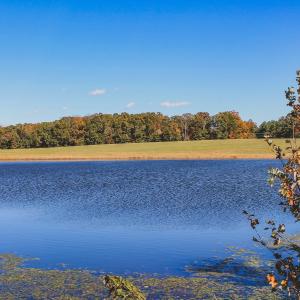 Photo #14 of Lot 16 BRIERY CREEK RD, SCOTTSVILLE, VA 20.1 acres