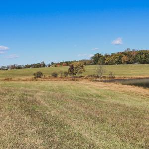 Photo #19 of Lot 16 BRIERY CREEK RD, SCOTTSVILLE, VA 20.1 acres