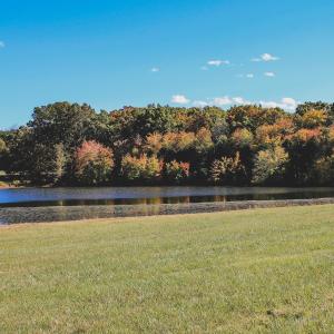 Photo #12 of Lot 16 BRIERY CREEK RD, SCOTTSVILLE, VA 20.1 acres