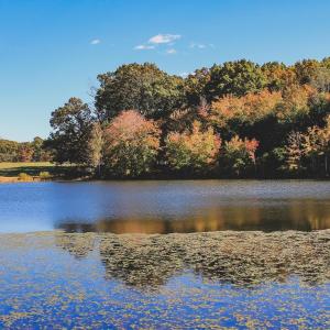 Photo #13 of Lot 16 BRIERY CREEK RD, SCOTTSVILLE, VA 20.1 acres