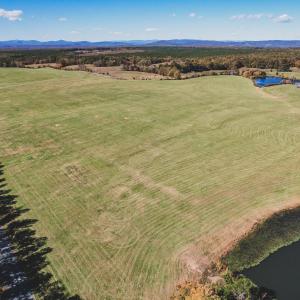 Photo #4 of Lot 16 BRIERY CREEK RD, SCOTTSVILLE, VA 20.1 acres