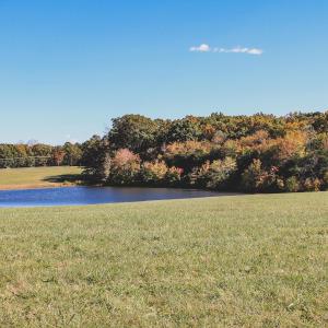 Photo #5 of Lot 16 BRIERY CREEK RD, SCOTTSVILLE, VA 20.1 acres