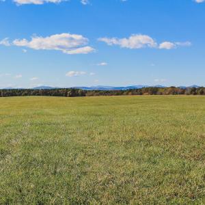 Photo #9 of Lot 16 BRIERY CREEK RD, SCOTTSVILLE, VA 20.1 acres