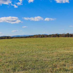 Photo #8 of Lot 16 BRIERY CREEK RD, SCOTTSVILLE, VA 20.1 acres
