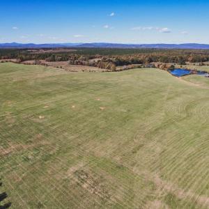 Photo #3 of Lot 16 BRIERY CREEK RD, SCOTTSVILLE, VA 20.1 acres