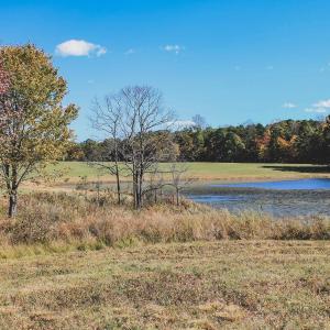 Photo #20 of Lot 16 BRIERY CREEK RD, SCOTTSVILLE, VA 20.1 acres