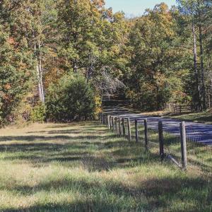 Photo #15 of Lot 16 BRIERY CREEK RD, SCOTTSVILLE, VA 20.1 acres