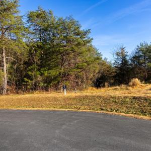 Photo #3 of lot 12 BARTHOLOMEW PL, STANARDSVILLE, VA 2.0 acres