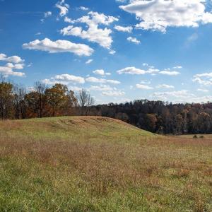 Photo #6 of 273 AIRSPORTS DR, AMHERST, VA 73.4 acres