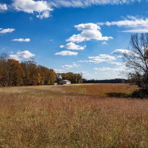 Photo #7 of 273 AIRSPORTS DR, AMHERST, VA 73.4 acres