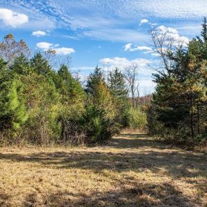 Photo #17 of 273 AIRSPORTS DR, AMHERST, VA 73.4 acres