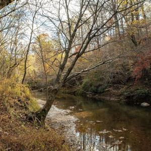 Photo #23 of 273 AIRSPORTS DR, AMHERST, VA 73.4 acres