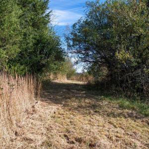 Photo #18 of 273 AIRSPORTS DR, AMHERST, VA 73.4 acres