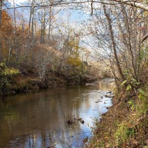 Photo #5 of 273 AIRSPORTS DR, AMHERST, VA 73.4 acres