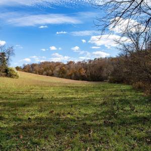 Photo #13 of 273 AIRSPORTS DR, AMHERST, VA 73.4 acres