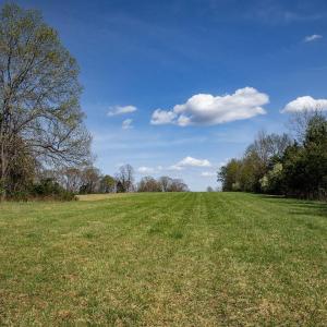 Photo #36 of 273 AIRSPORTS DR, AMHERST, VA 73.4 acres