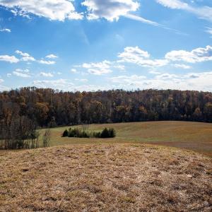 Photo #19 of 273 AIRSPORTS DR, AMHERST, VA 73.4 acres